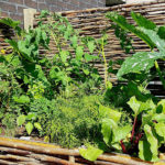 Potager surélevé en panneau de noisetier tressé