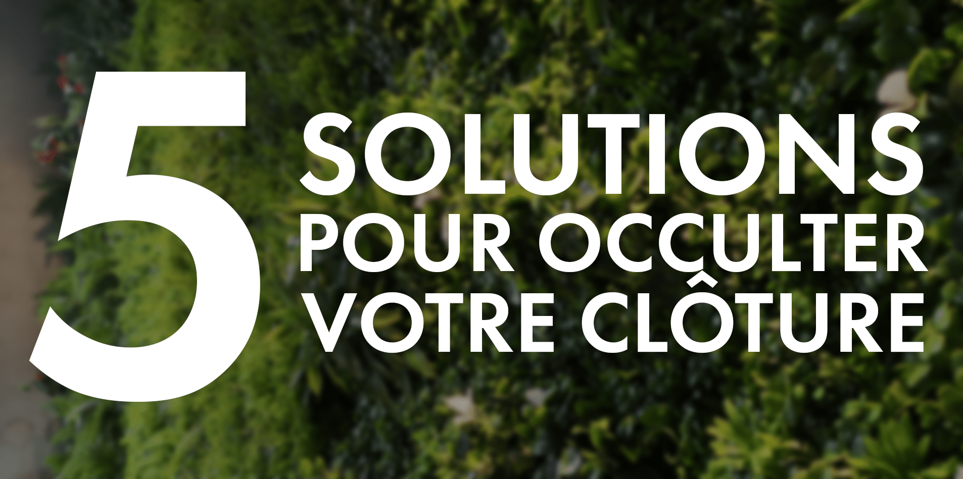 Conseils pour végétaliser une clôture rigide